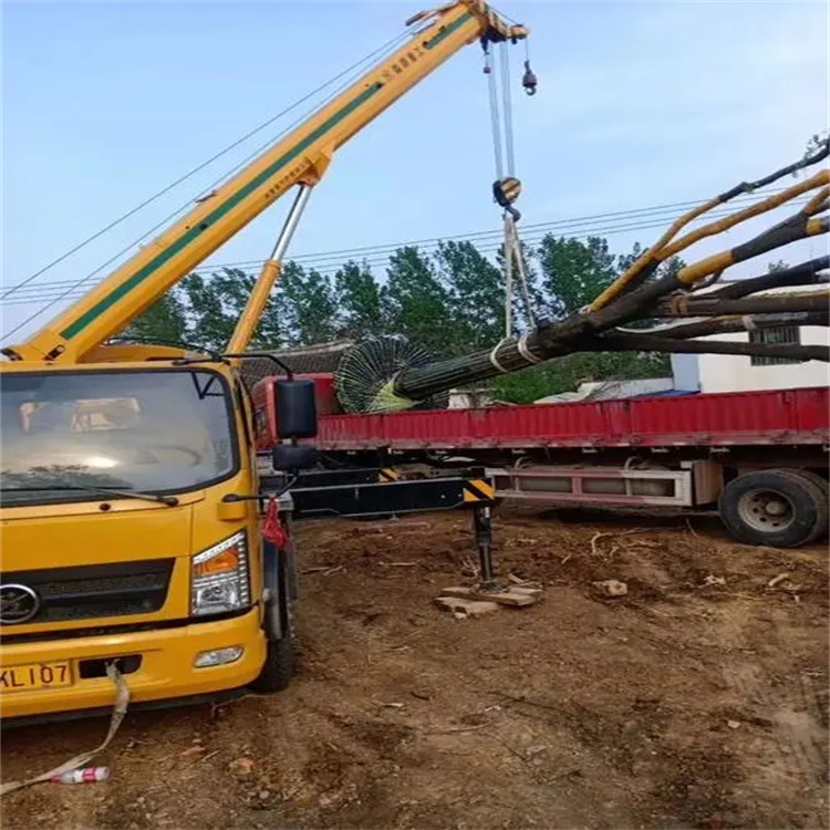 猇亭100吨吊车租赁费用怎么算？3大关键因素+省钱技巧全解析